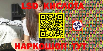 спайс Берёзовский