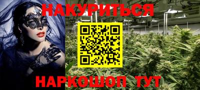 сатива Камышлов