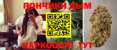 сатива Камышлов