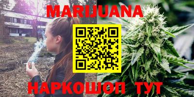 сатива Камышлов