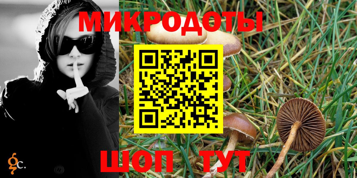 Галлюциногенные грибы Psilocybe Улан-Удэ