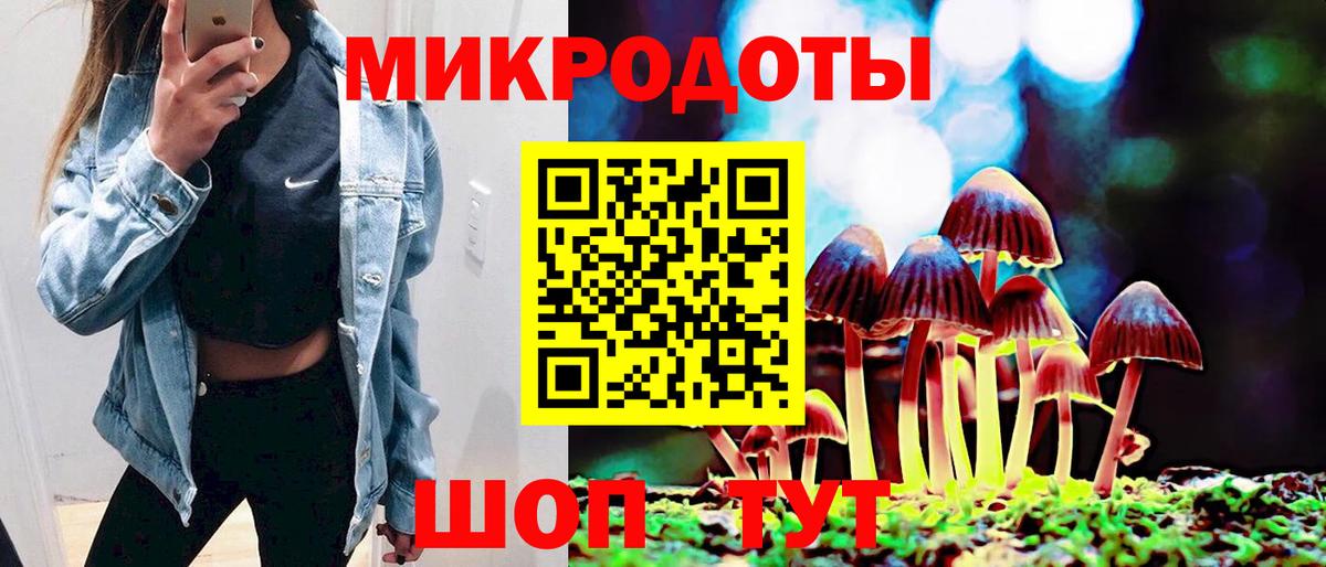 Псилоцибиновые грибы GOLDEN TEACHER Улан-Удэ